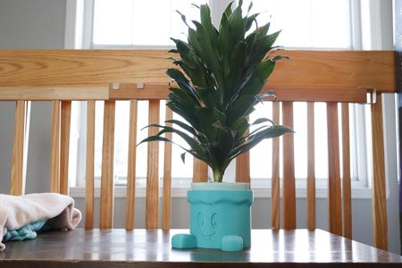 Cartoon Guy Planter