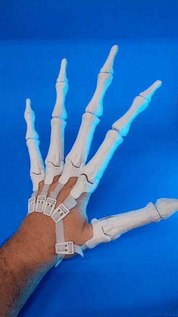 Articulated Skeleton Hands