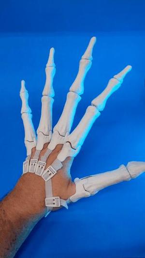 Articulated Skeleton Hands