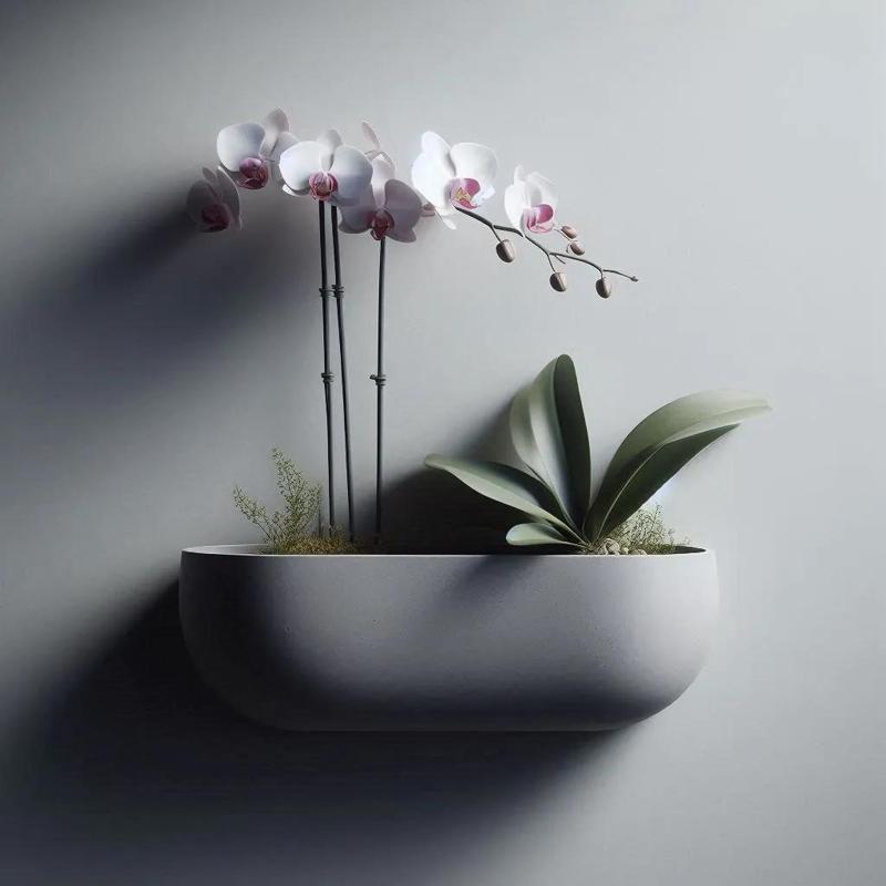 Wall Hanging Orchid Plant Pot