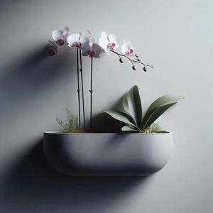 Wall Hanging Orchid Plant Pot