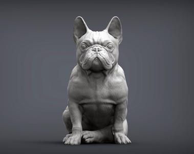 French Bulldog