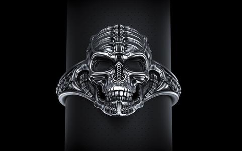 Biomechanical Skull Ring Silencer