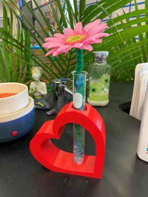 heart test tube flower vase
