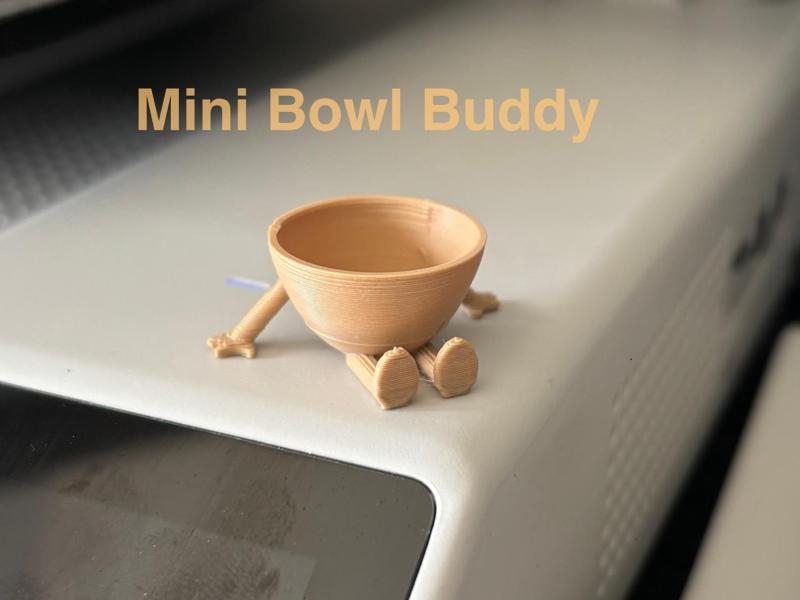 Mini Bowl Buddy