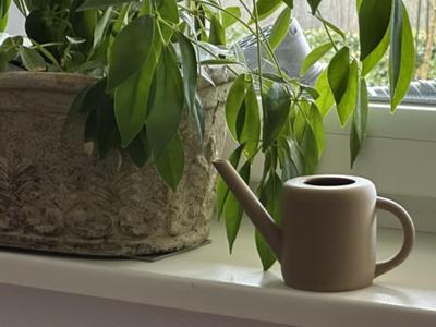Waterproof watering can in three sizes 01, 025, and 1 litre