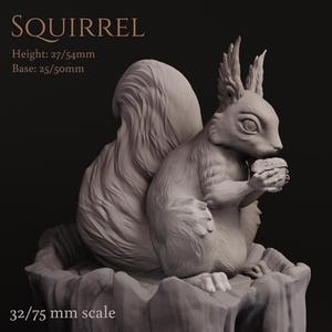 Squirrel