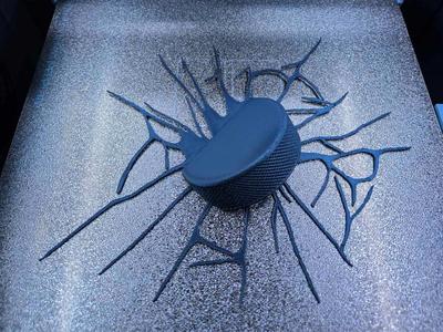 Hockey Puck Wall Shot