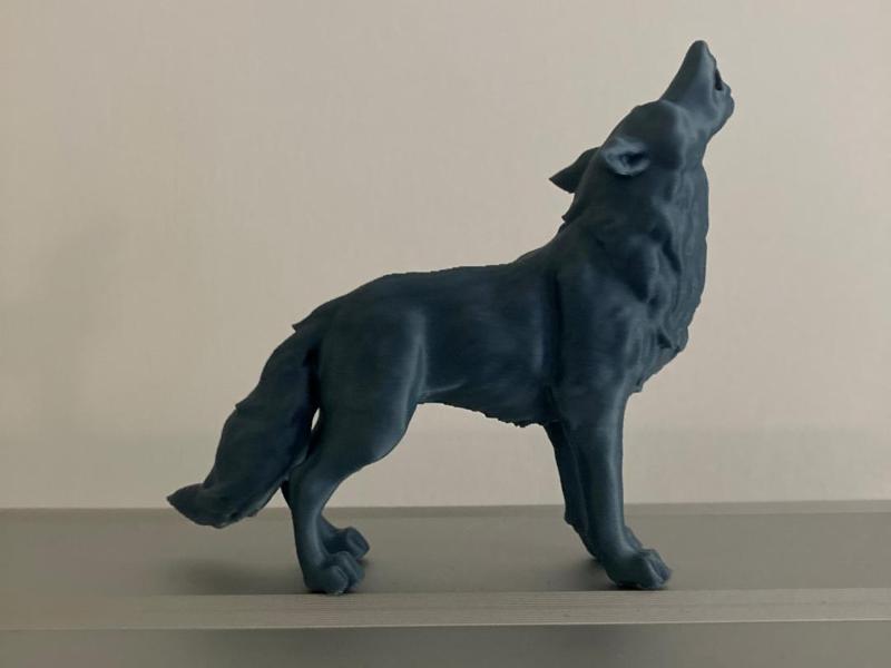 Direwolf Game of Thrones