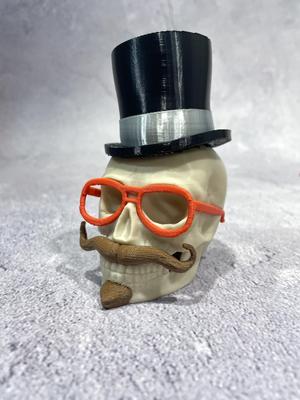 Distinguished Skull