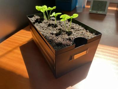 Samozavlažovací truhlík – 5h Vase Mode – Self-Watering Planter