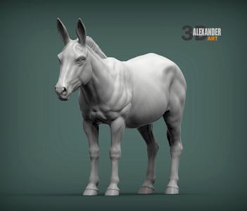 Donkey