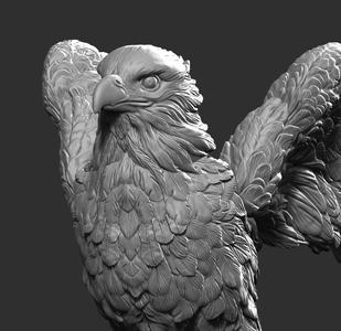 Falcon eagle