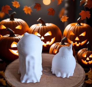 R2 and BB-8 Sheet-Ghosts Halloween Decoration
