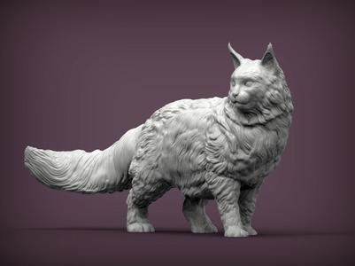 Maine Coon