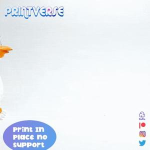 Flexy Penguin Print In Place No Support