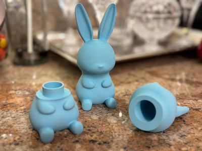 Cash Bunny