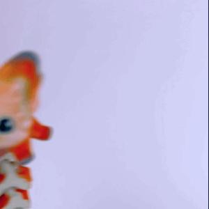 Fox Flexi
