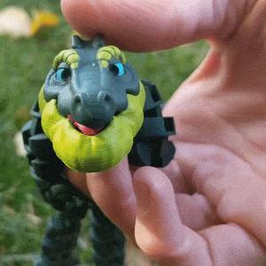 Flexi Coy the Crocodile