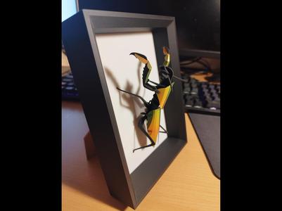 Picture frame tall
