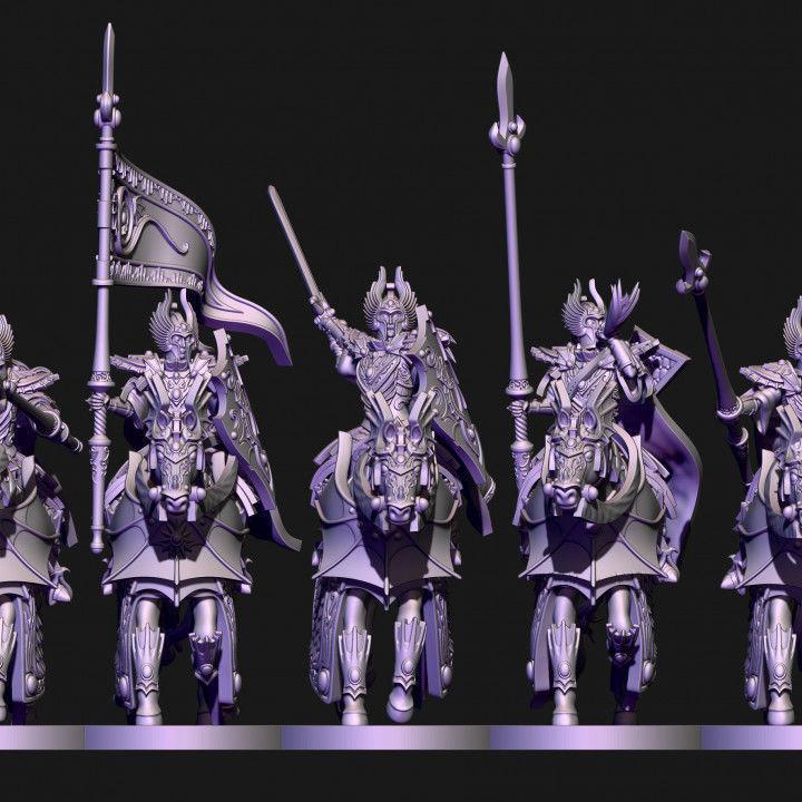 High born elves knights of ryma