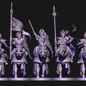 High born elves knights of ryma
