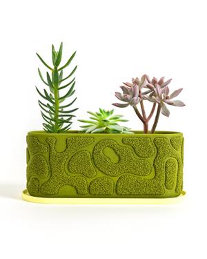 Moss Planter 70x120mm