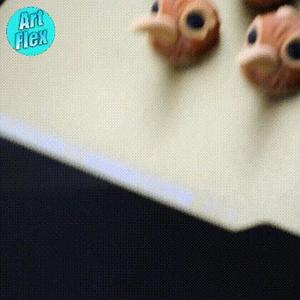 Flexi Kiwi Bird