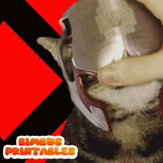 Magnito Cat Helmet (X-Men)🪙