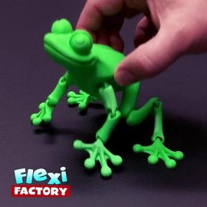 Cute Flexi Print-in-Place Frog