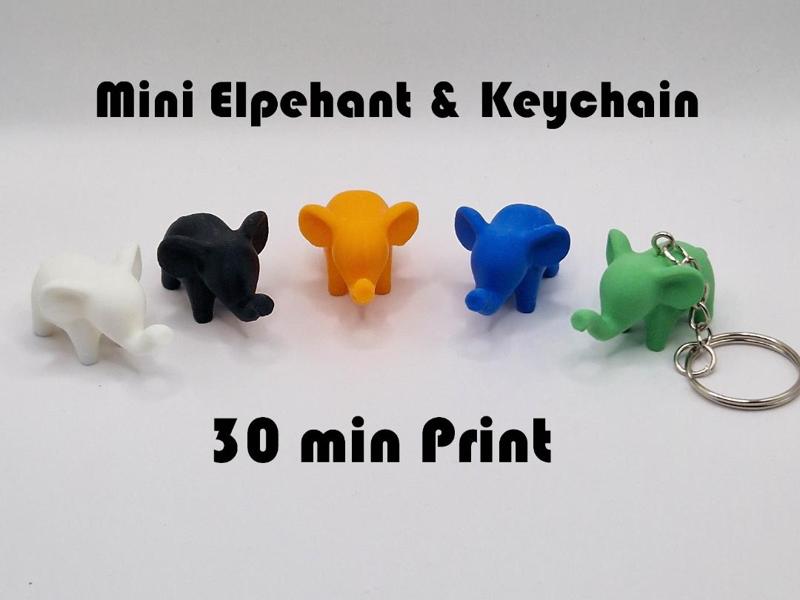 Cute Mini Elephant
