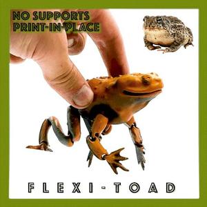 Flexi Toad Frog articulated print-in-place no supports