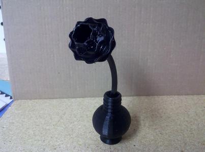 Flower in Vase