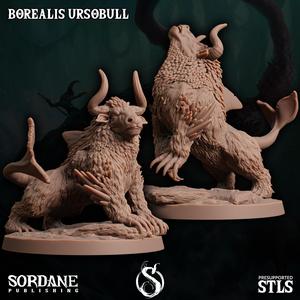 Borealis Ursobull