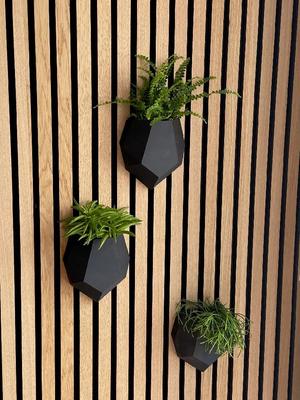 Wall vase for acoustic wall panels. Self watering.
