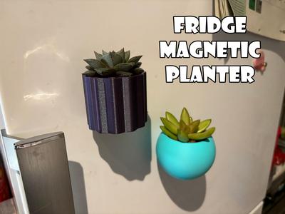 Fridge magnetic planter for succelent plants – 3