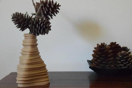 Igneous Brim (Vase)