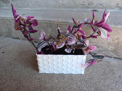 Window Planter
