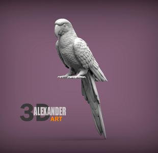 Ara parrot