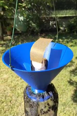 Japanese Beetle Funnel Trap