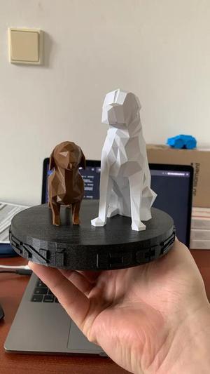 Dachshund – Jezevčík POLY