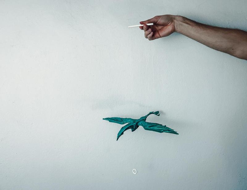 Avatar Ikran Flying Mobile