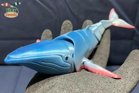 Flexi Humpback Whale (print-in-place)