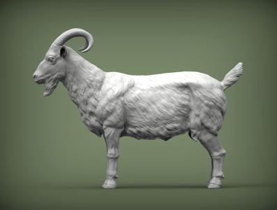Goat 3D print model