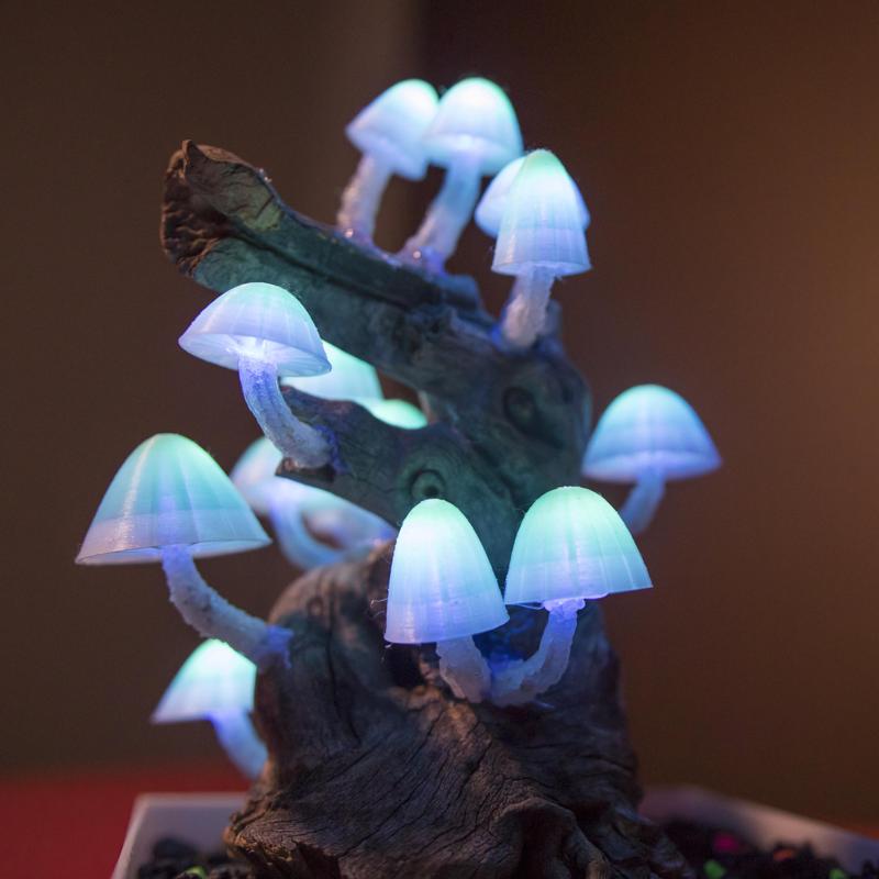 Mushroom Caps for Glowing Mushroom Light