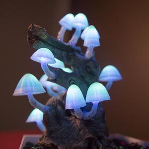 Mushroom Caps for Glowing Mushroom Light