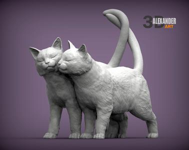 cats love