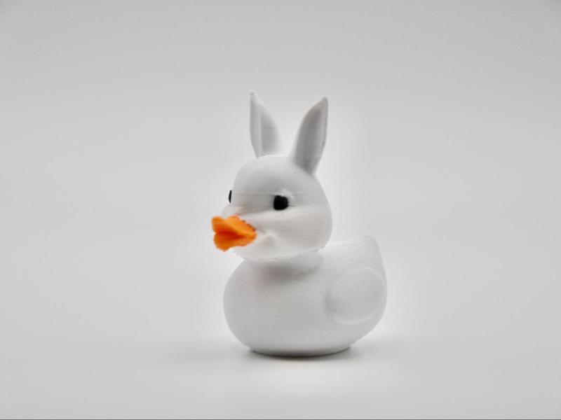 Bunny Duck