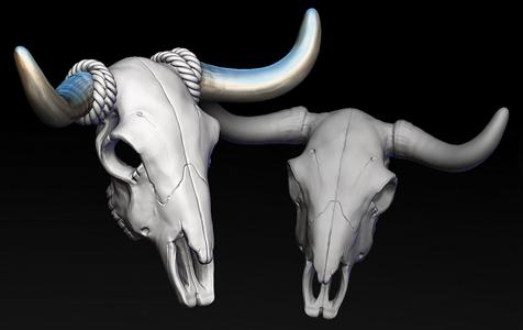 Bull Skull with Separate Horns