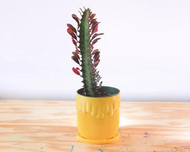 honey pot planter (vase mode)